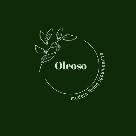 イグメニツァOleosoアパートメント エクステリア 写真